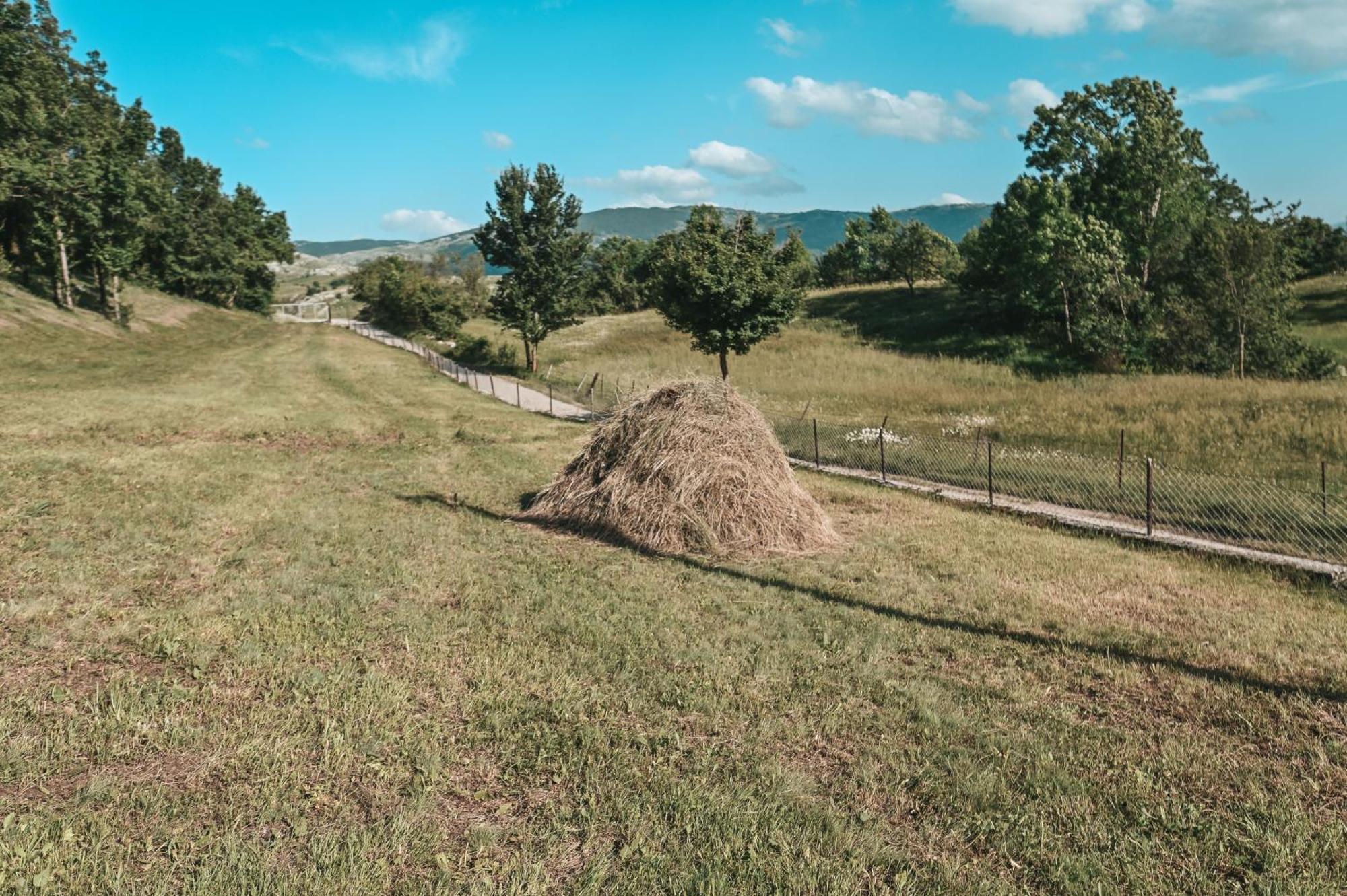 Willa Domacinstvo Braca Rebic Gacko Zewnętrze zdjęcie
